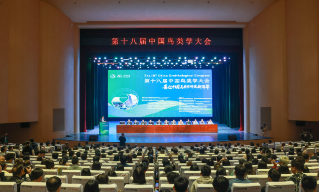 “智慧之眼”守護(hù)天空精靈！優(yōu)威視訊攜AI黑科技驚艷鳥類學(xué)大會(huì)